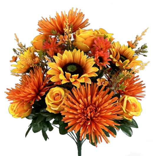 Orange and Yellow Zinnia Sunflower Rose Bush x 28 H24 - 57194ORYW