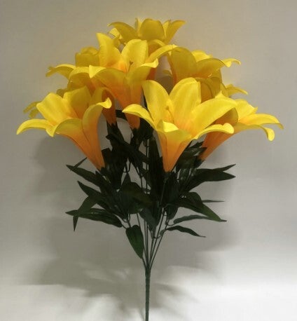 TRUMPET LILY X 9 YELLOW - 59552