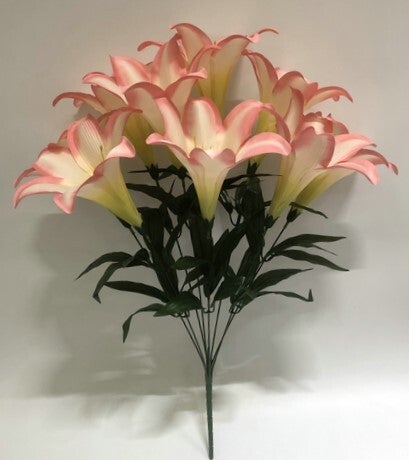 TRUMPET LILY X 9 PINK - 59553