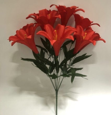TRUMPET LILY X 9 RED - 59555