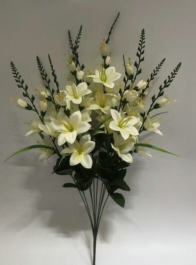 DELPHINIUM X 10 CREAM - 59561