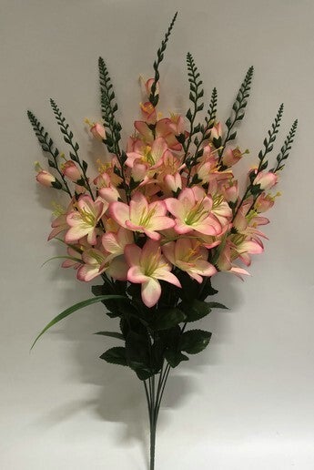 DELPHINIUM X 10 PINK - 59563