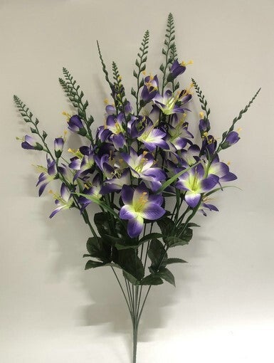 DELPHINIUM X 10 PURPLE - 59566