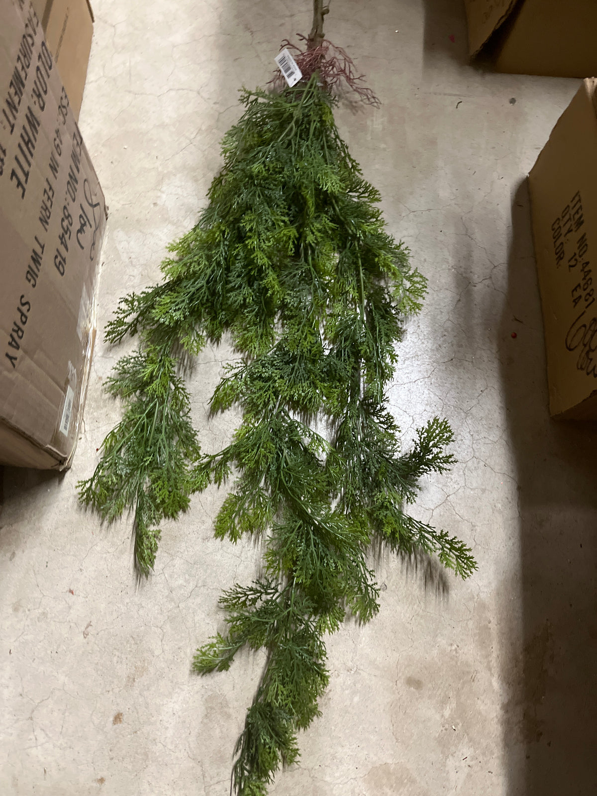 PLS CEDAR HANGN BUSH-GRN-15891