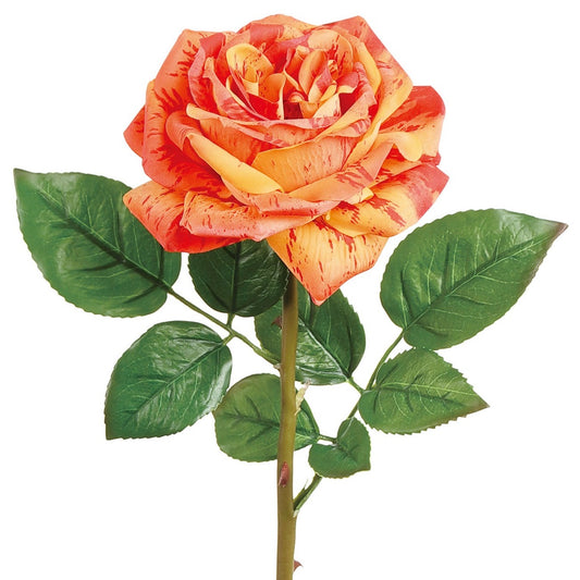 CANDY STRIPE ENGLISH ROSE SPRAY, 22", NATURAL TOUCH, CORAL - 6142-COR