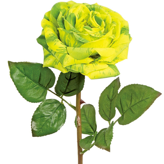 CANDY STRIPE ENGLISH ROSE SPRAY, NATURAL TOUCH, 22" YELLOW AND GREEN - 6142-YG