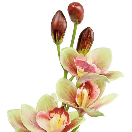 CYMBIDIUM ORCHID, 40", GREEN AND RED - 6189-GR