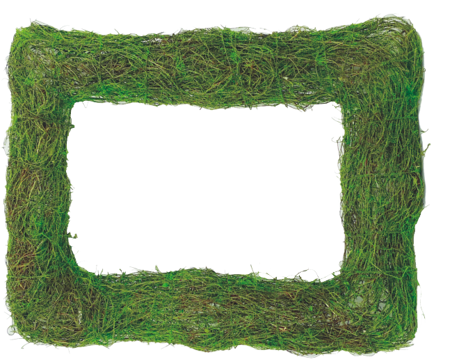 Moss Rectangle Wreath Base H19xW15 - 62069GN