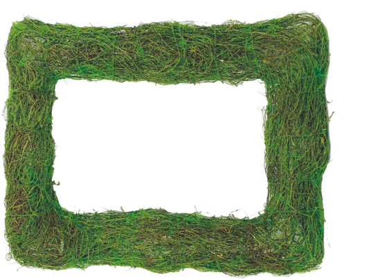 Moss Rectangle H19xW15-Green-62069GN