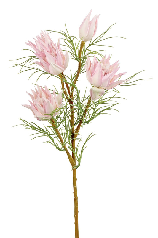 23.5" Pink Wild Protea - 6216-P