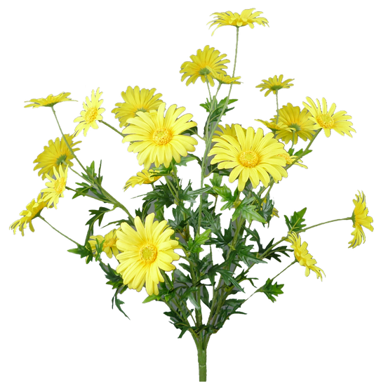 Yellow Daisy Bush X5, 25H - 62417YW