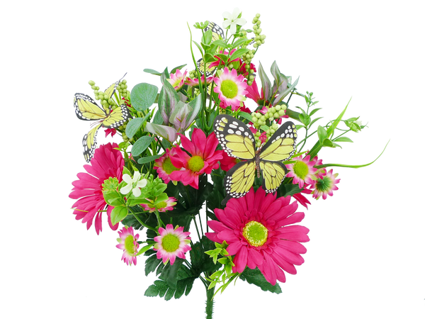 19 in Pink Gerber Daisy Butterfly Bush x 14 - 62626BT