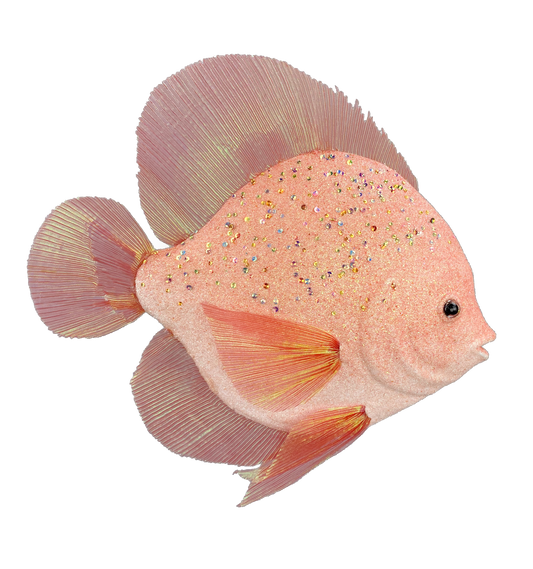 Coral Ornament Fish D3 in x W15 in x H15 in - 62847CO