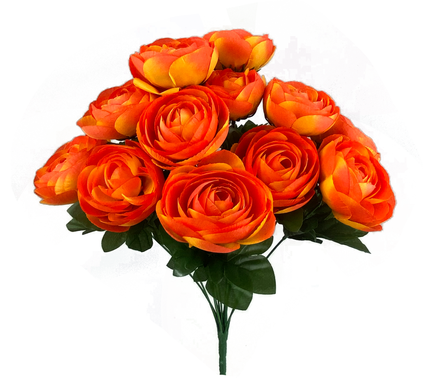 Orange Ranunculus Bush x 12 - 63329OR