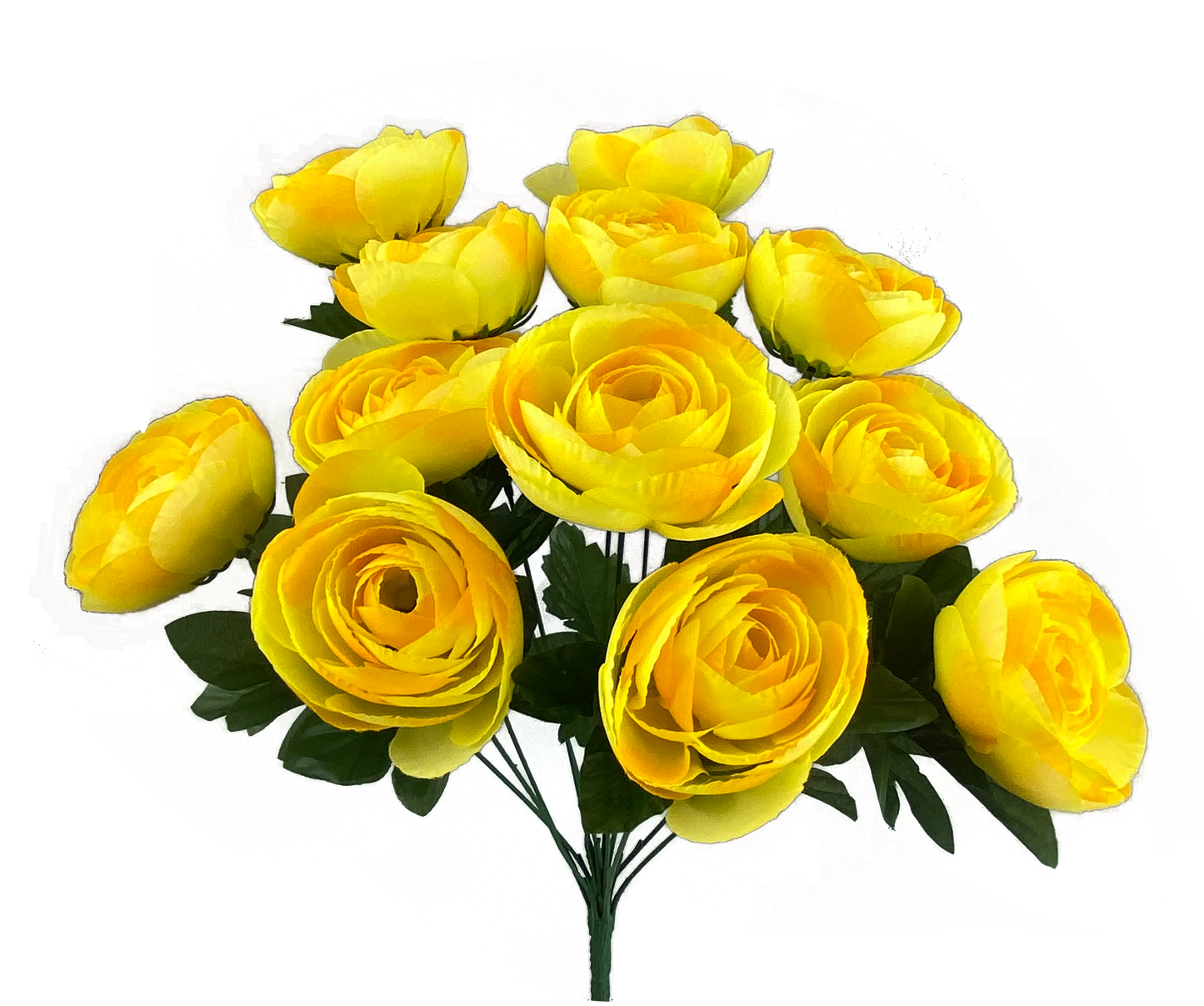 Yellow Ranunculus Bush x 12 - 63329YW