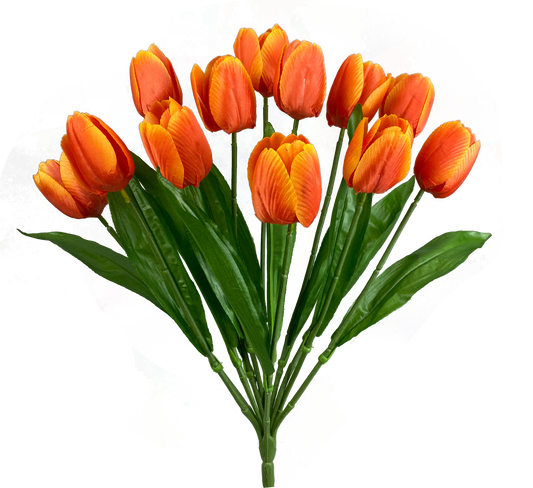 Orange Tulip Bush x 12 H17 - 63338OR