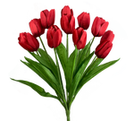 17 in Red Tulip Bush x 12 - 63338RD