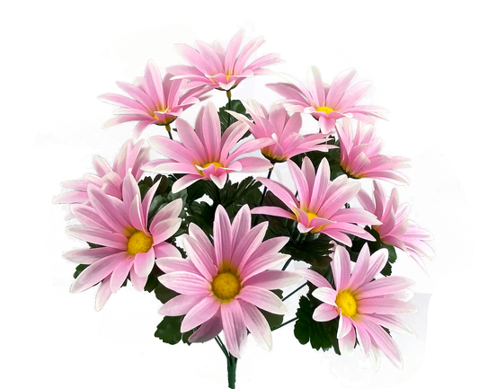 Pink Daisy bush x 12 H19 - 63375PK