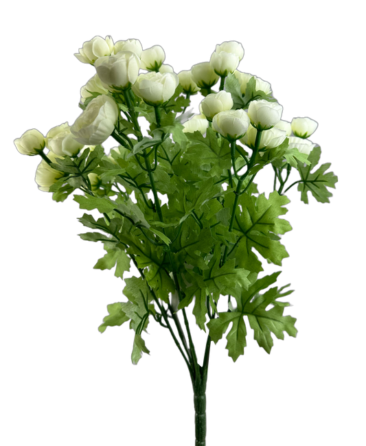 Cream Mini Ranunculus Bush x 9 H17 -63514CM