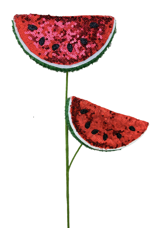 Shimmer Watermelon Spray x 2 H24 - 63612RDGN