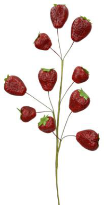 Strawberry Spray x 10 H24-64002RD