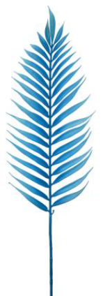 Plastic Palm Lvs Spray H34-64006BL