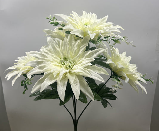 LARGE DAHLIA BUSH X 5 CREAM - 66691