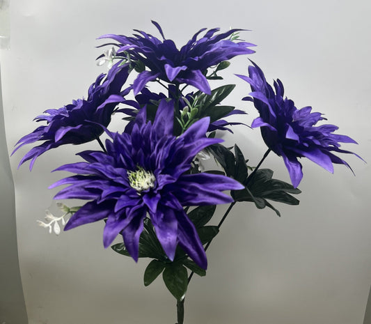 LARGE DAHLIA BUSH X 5 PURPLE - 66695