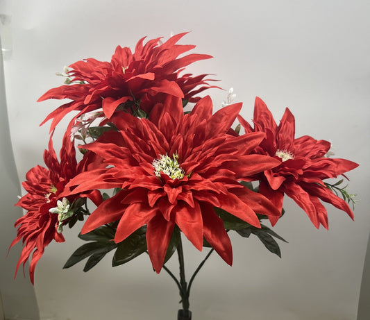 LARGE DAHLIA BUSH X 5 RED - 66696