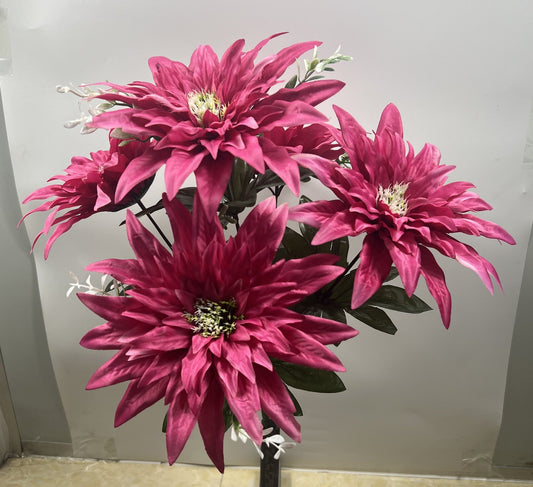 LG DAHLIA BUSH X 5 BEAUTY - 66697