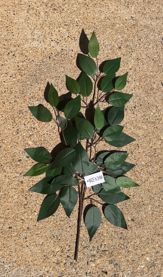 FICUS SPRAY X 3 W 42 LVS (Pack of 12)GREEN (W/RED BACK)-A220031
