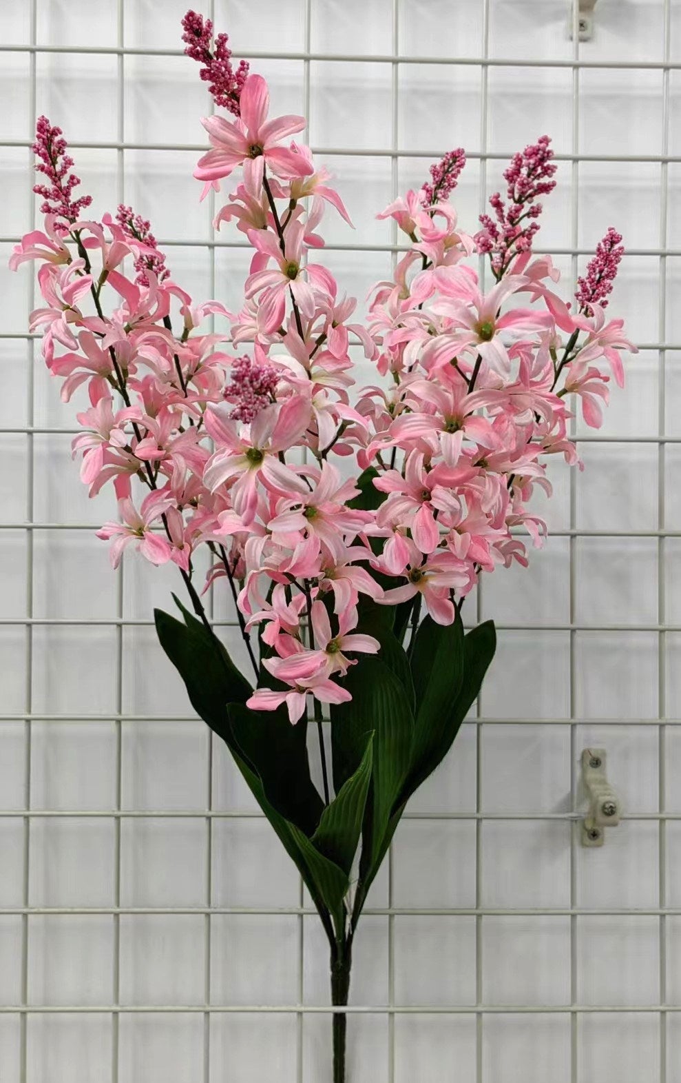 HYACINTH X7 WITH BERRY PINK - 71422