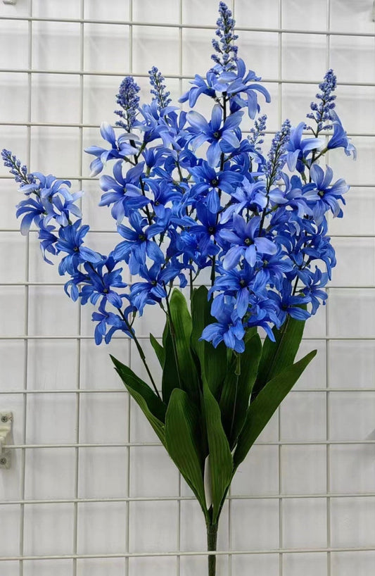 HYACINTH X7 WITH BERRY BLUE - 71424