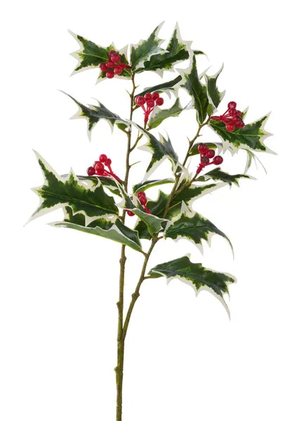21"L Holly Berry Leaf Spray-Green/White/Red-XS093990
