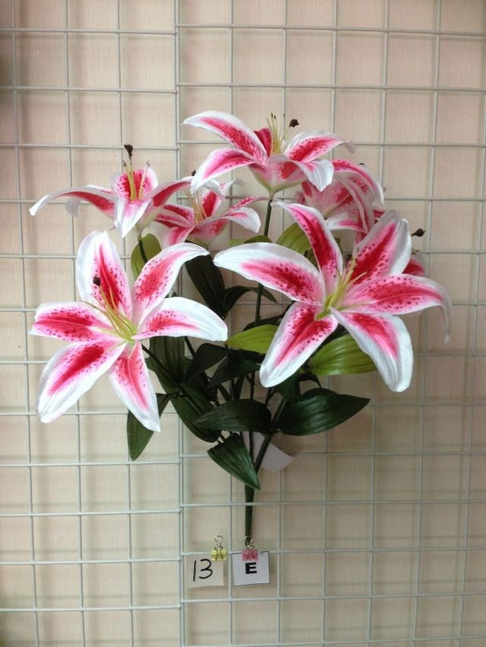 CASABLANCA LILY X7 RUBY- 73155