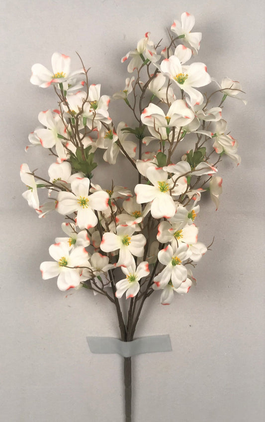 DOGWOOD BUSH X 5 CREAM - 73921