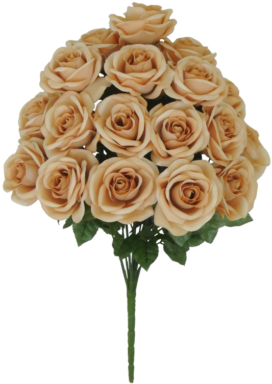 22 IN MIRCO PEACH ROSE BUSH X - 80194-COFFEE