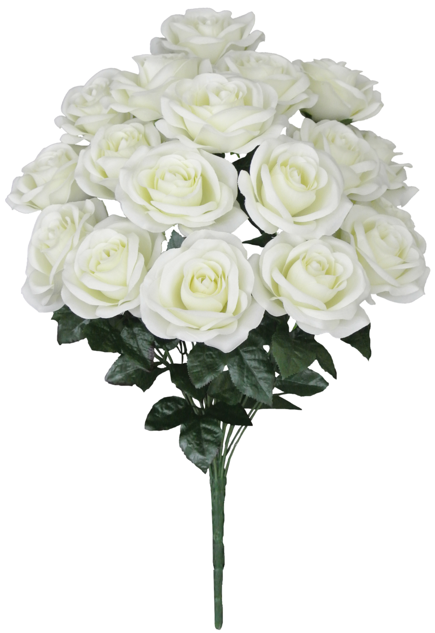 22 IN MIRCO PEACH ROSE BUSH X - 80194-CR