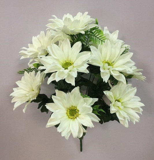 DAHLIA BUSH X 12 CREAM  - 80311