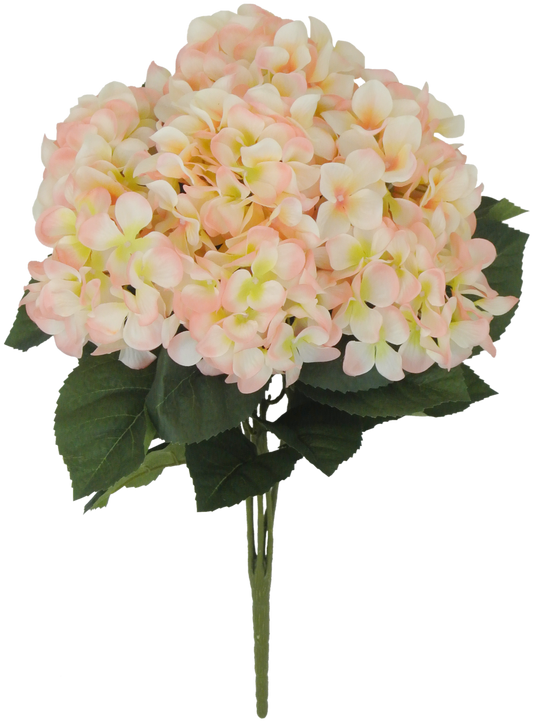 22 IN PEACH HYDRANGEA BUSH X 7 - 80312-PH