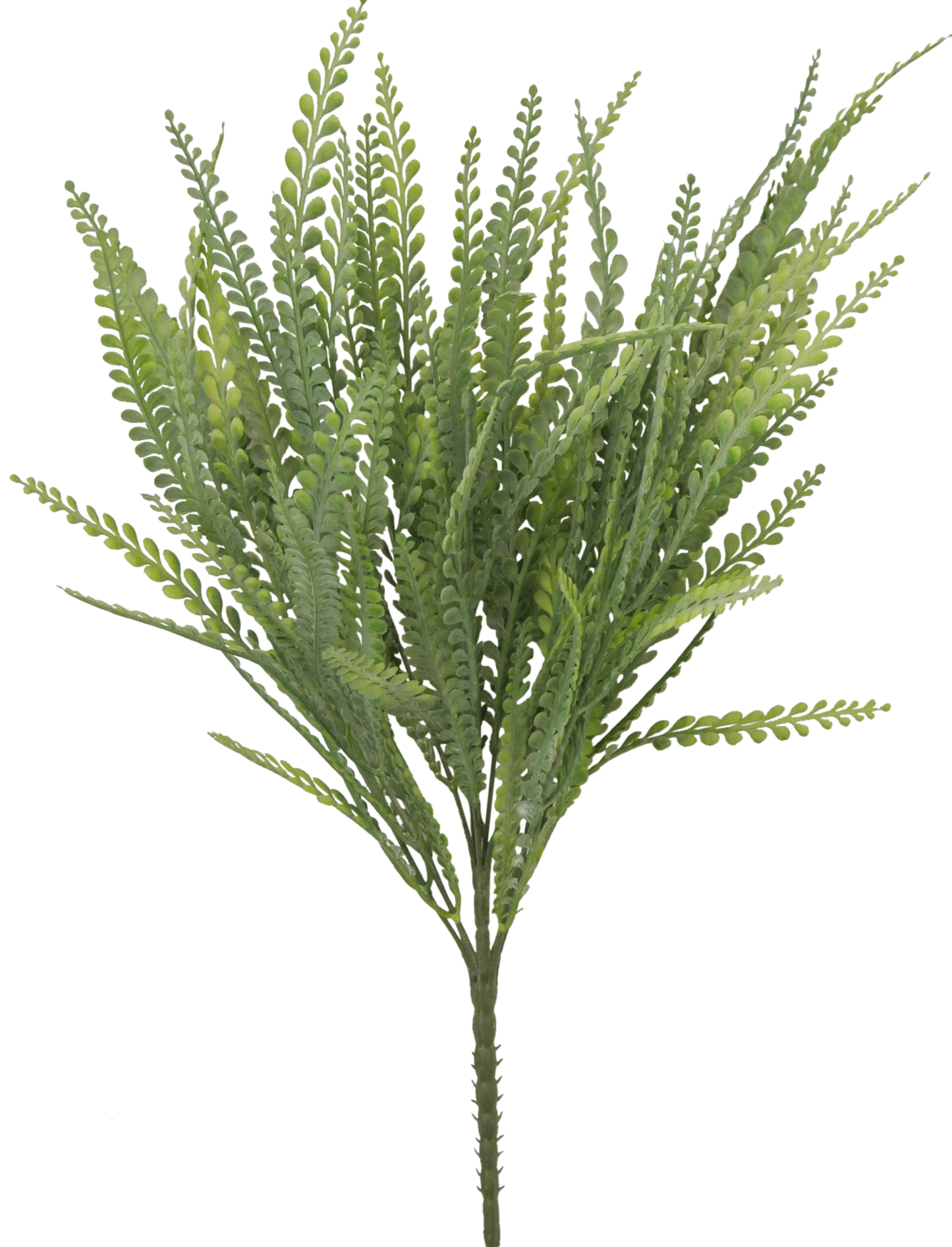 21 IN PLASTIC BUTTON FERN - 80398