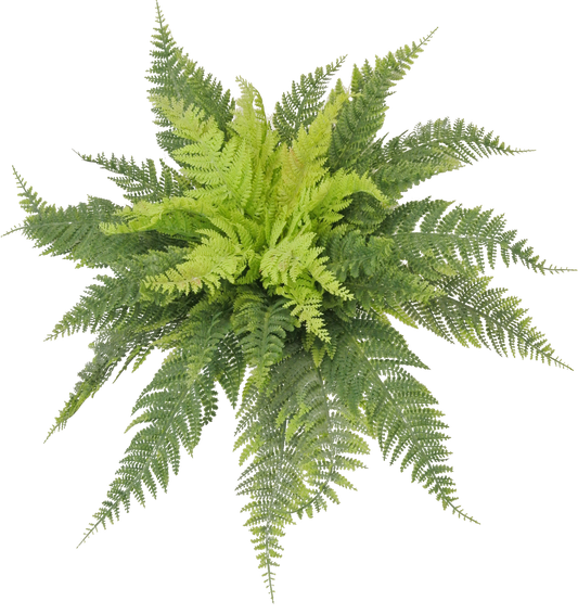 16 IN RUFFLE FERN BUSH - 80812