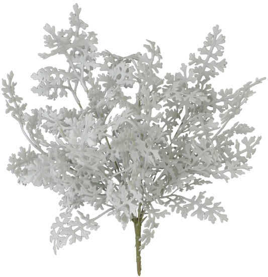 16 IN DUSTY MILLER BUSH X 8 - 81547