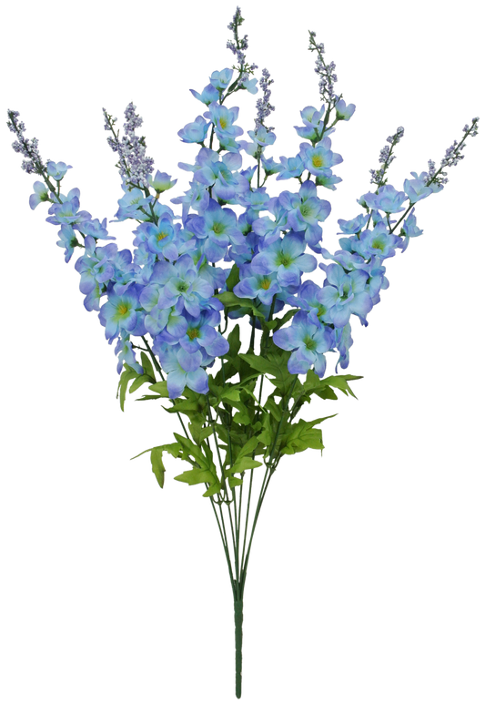27 Delphinium BUSH X 8 - 83401-BL