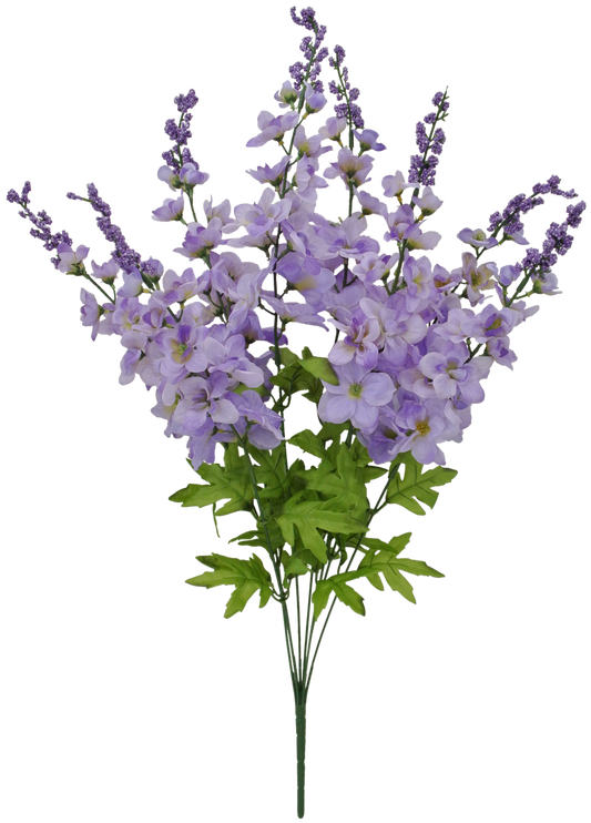 27 LAVENDER Delphinium BUSH X 8 - 83401-LV