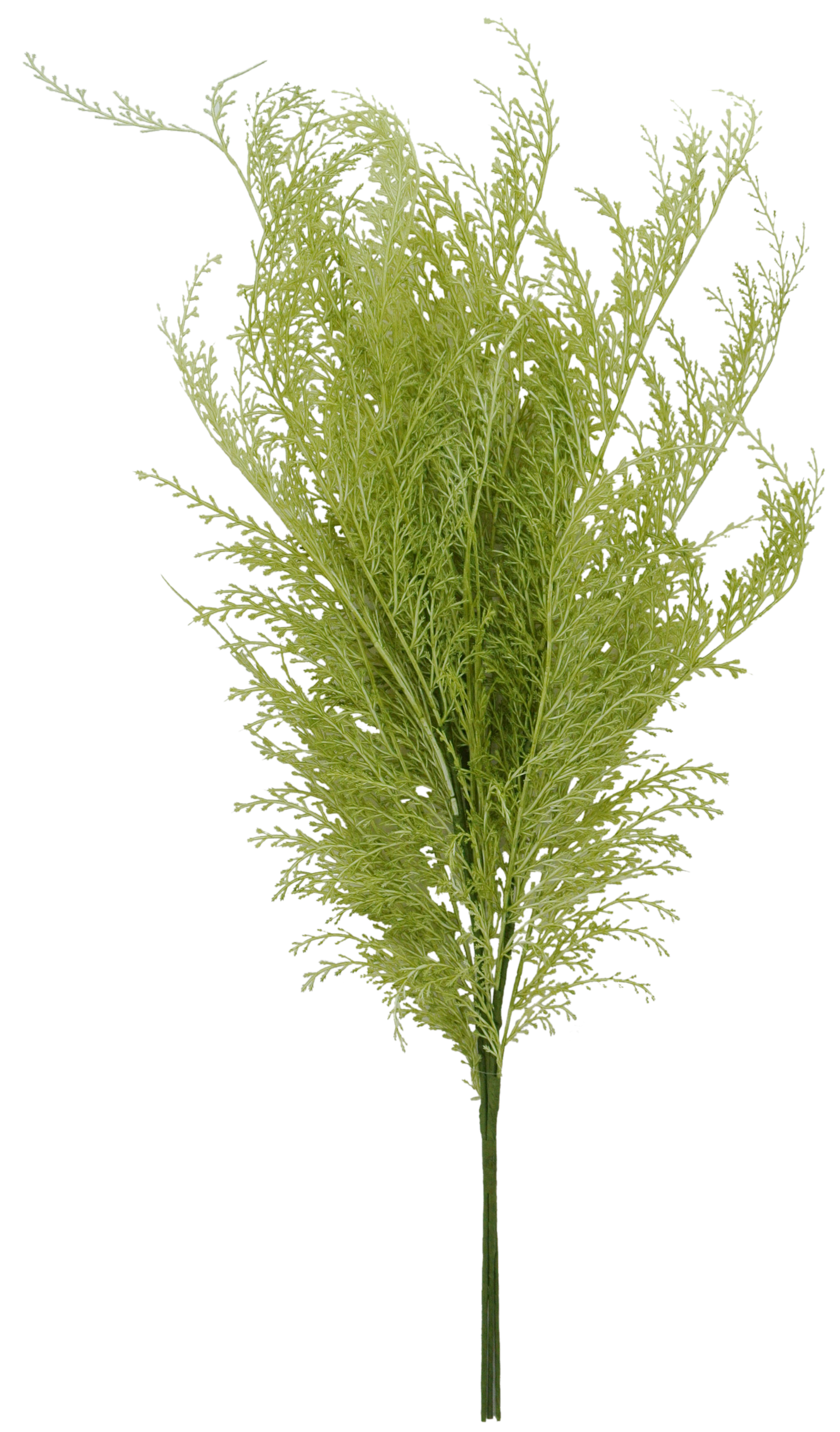 29 IN PHOENIX TAIL FERN - 84099-APPLE GREEN