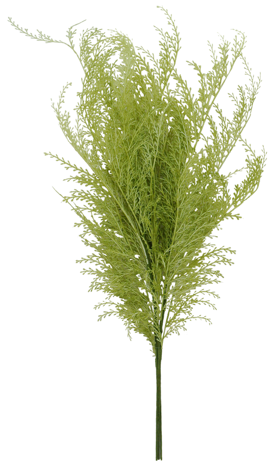 29 IN PHOENIX TAIL FERN - 84099-APPLE GREEN