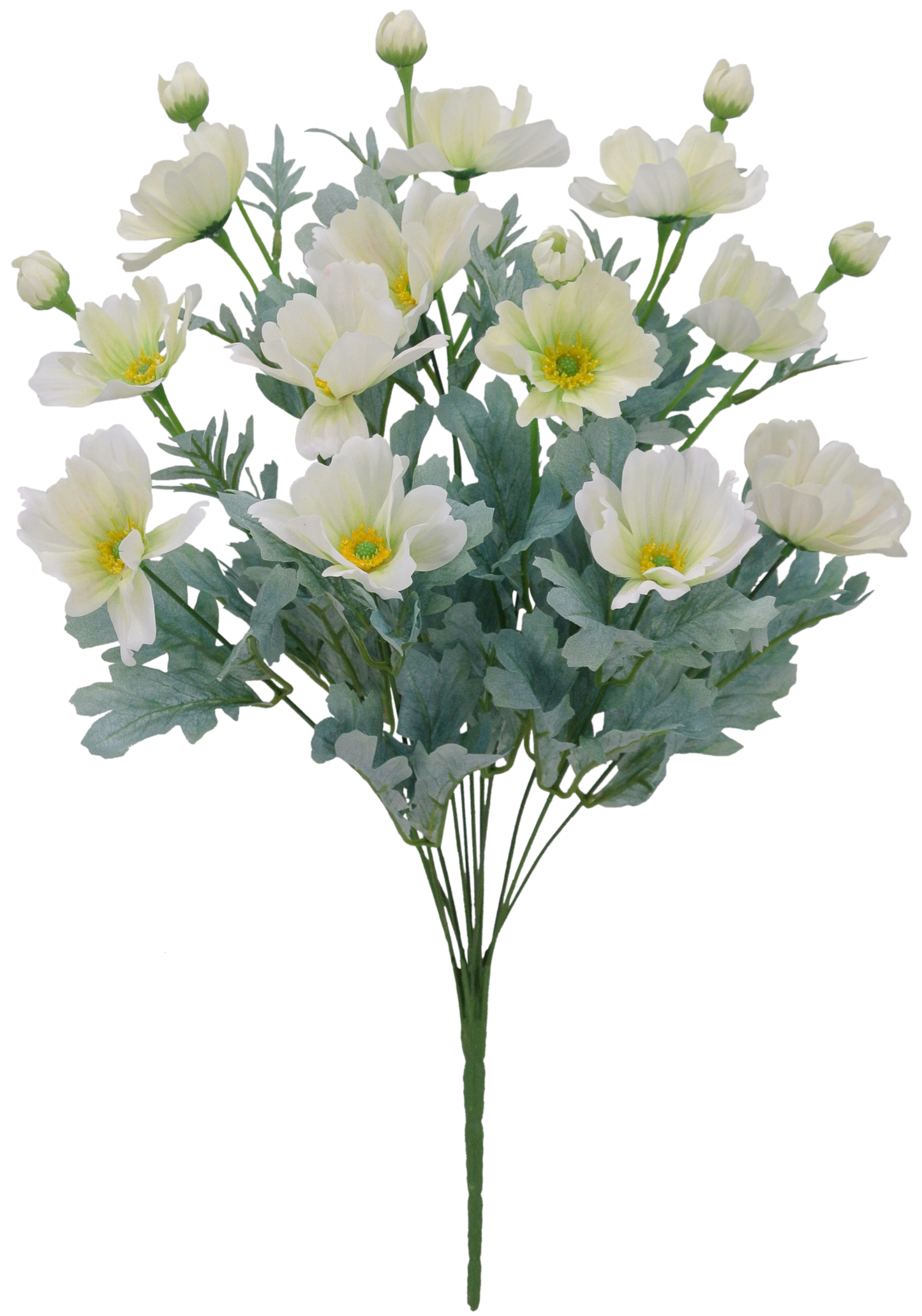 22 IN CREAM COSMOS BUSH X 12 - 84299-CR