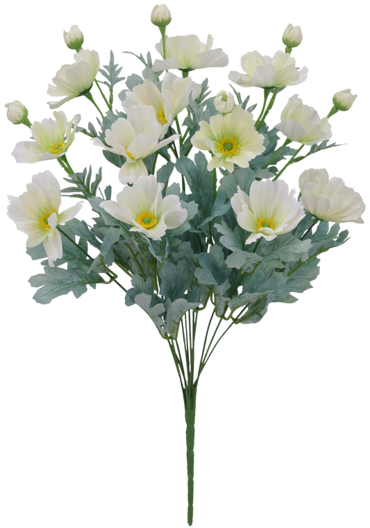 22 IN CREAM COSMOS BUSH X 12 - 84299-CR