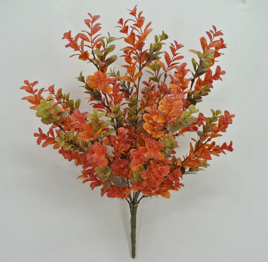 17.5 IN BOXWOOD BUSH X 9-84343